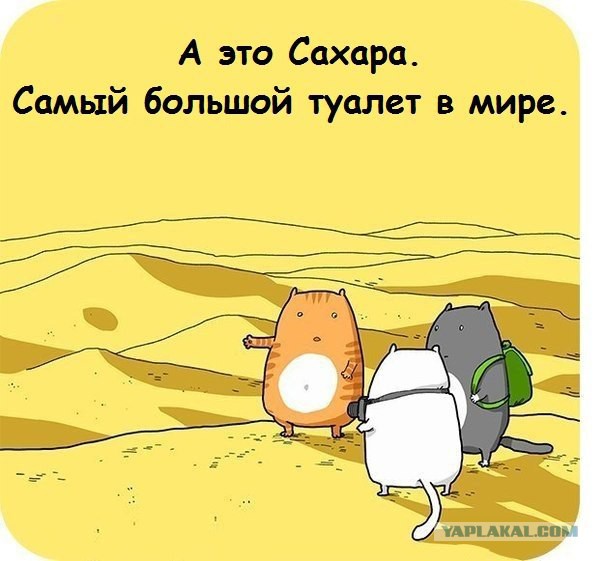 4707329.jpg